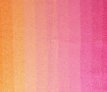Cotton-Whirl 703 Cotton-Whirl 703 Sugary Sunset