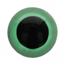 Dierenogen tweekleurig groen 12 mm