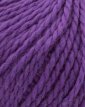 Phil Ecolaine Violet Phil Ecolaine Violet