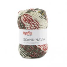 Scandinavia 353 Scandinavia 353 bruin-framboosrood - Katia